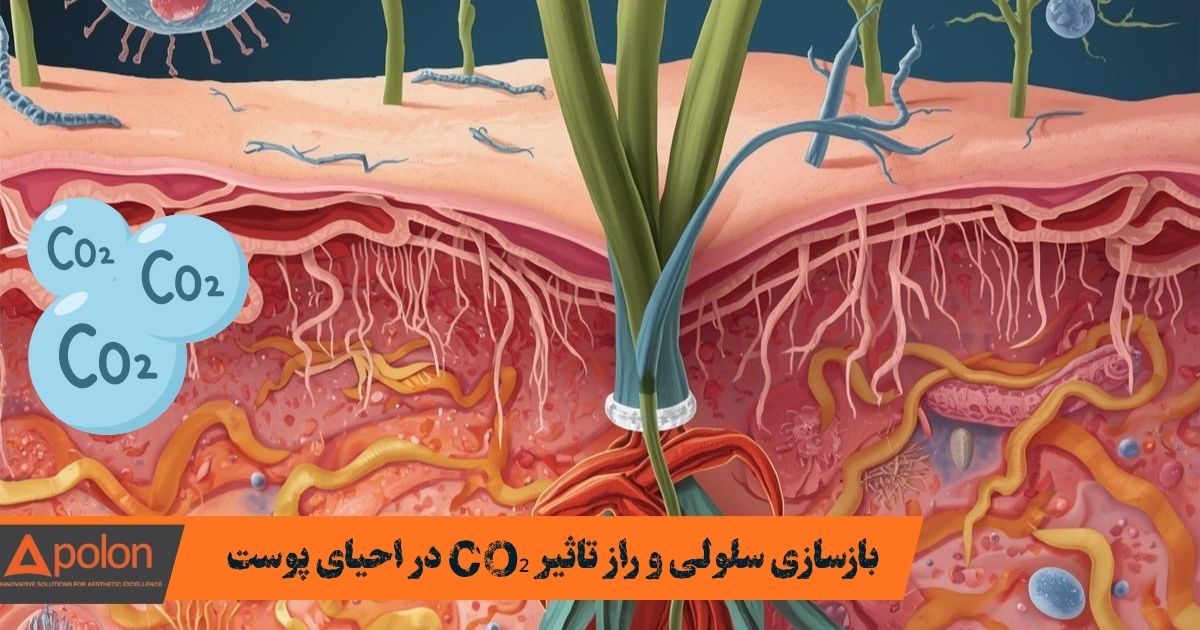 بازسازی سلولی